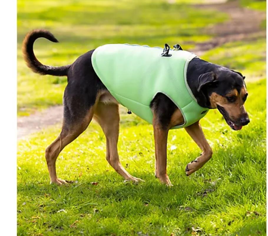 100x Hundespielzeug Wasserspielzeug Hund HUNTER Apportieren Kauen Kühlen 2 Mod