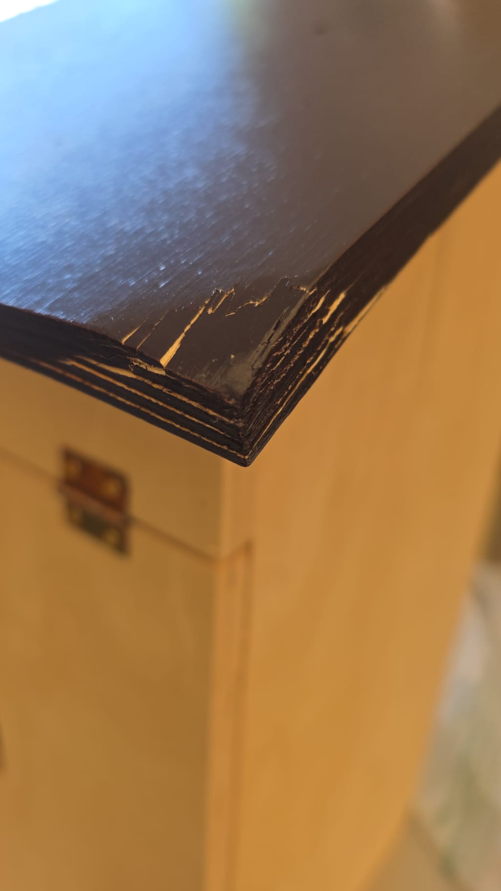 Großer Hornissenkasten mit Multiplex-Dach Insektenkasten #DH35
