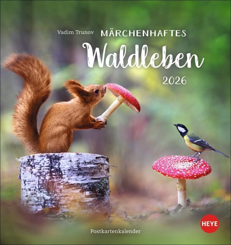 Vadim Trunov: Märchenhaftes Waldleben Postkartenkalender 2026: Der Tierfotograf fängt den Zauber der Waldtiere in seinen atemberaubenden Bildern ein. Süßer Tierkalender 2026. (Postkartenkalender Heye) [Spiral-bound] [Apr 22, 2025] Trunov, Vadim