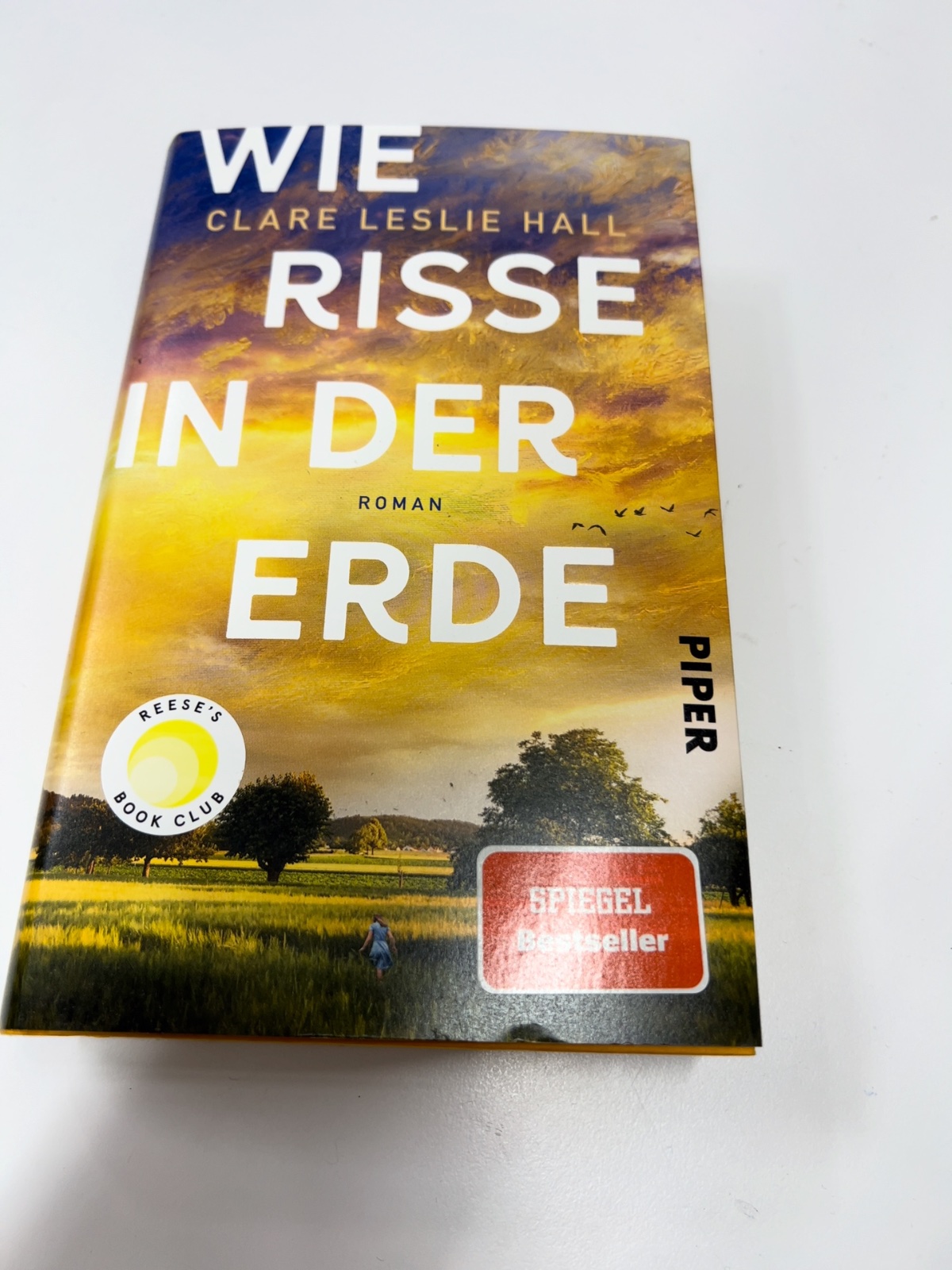 Roman, Buch, Frühjahr, Erde, Klappcover