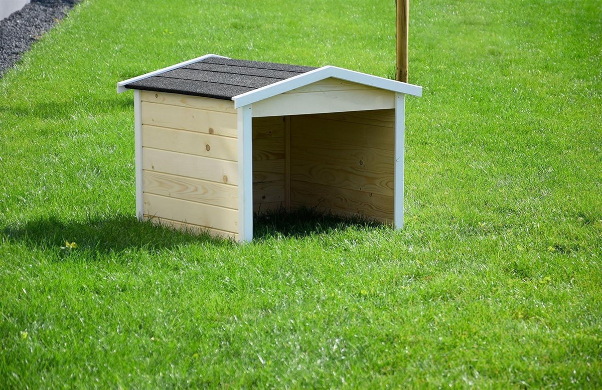Hundehütte, Kleine Hütte, Holzhaus, Gartenhütte, Garten