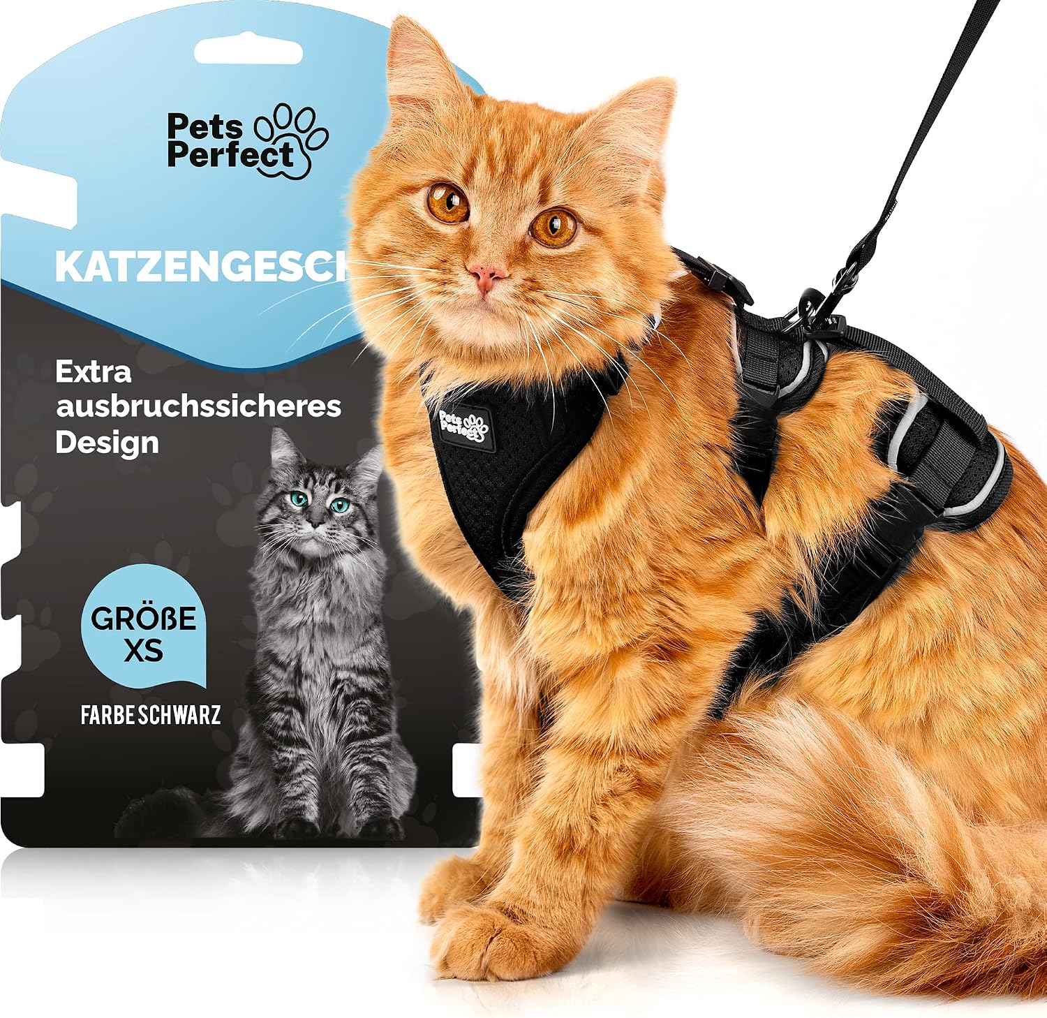 Katzengeschirr, Schwarz, Größe XS, Ausbruchsicher, Verstellbare Gurte