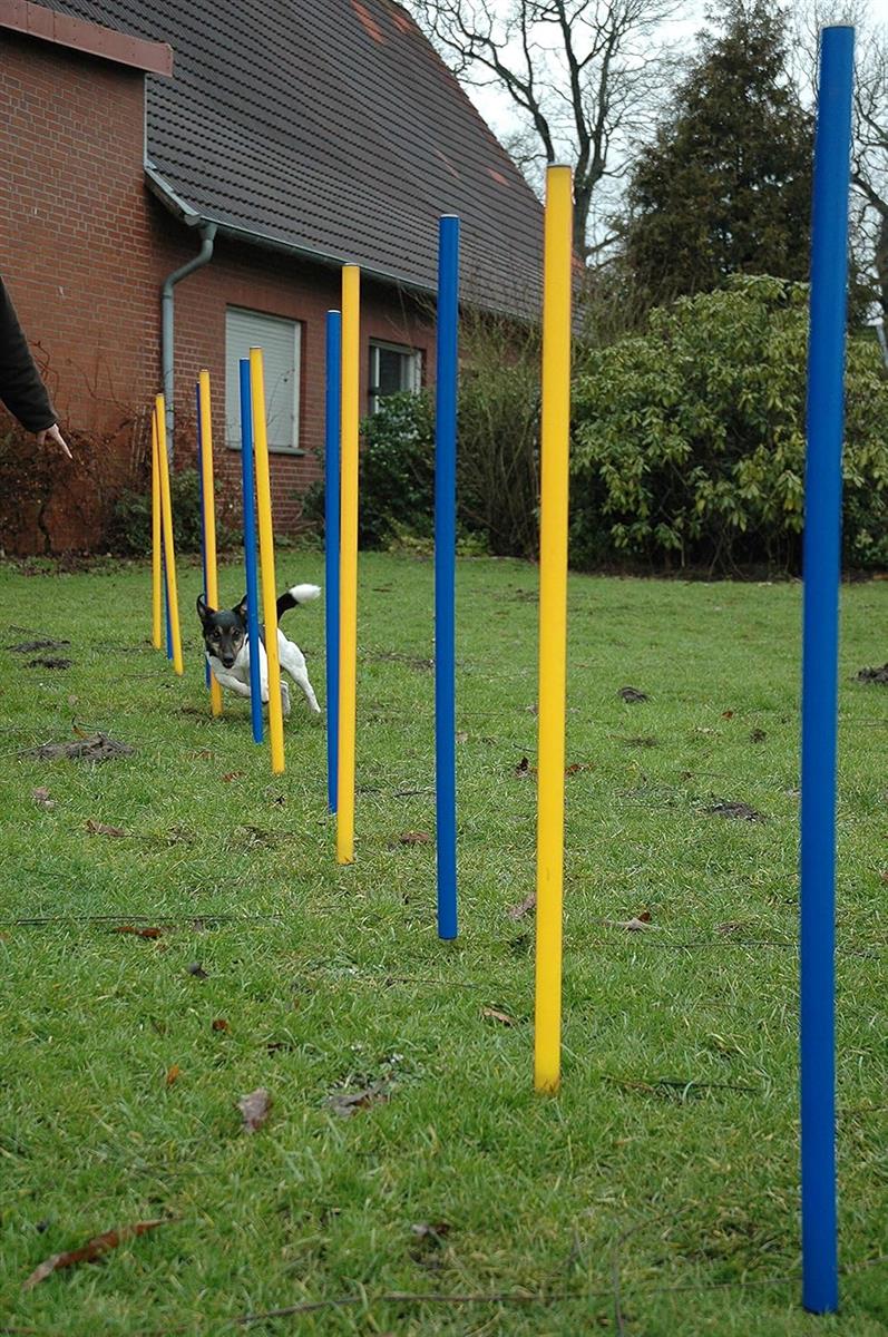 Dobar Agility Slalomset 12 teiliges Agility Set für Hunde Slalomstangen #D329