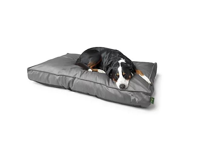 HUNTER Hundekissen orthopädisch Memoryschaum Hundebett