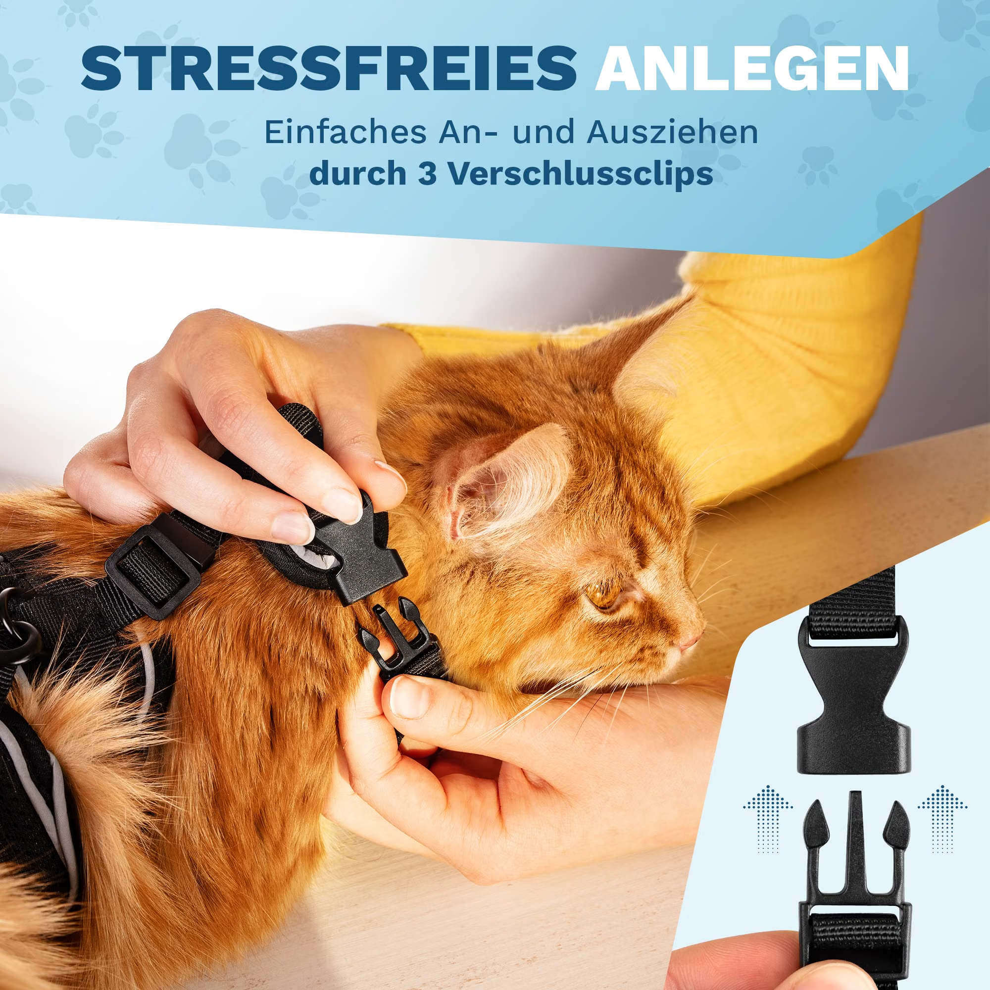 Katzenhalsband, Schnalle, Gurtzeug, Schnalleverschluss, Katzenhalsband mit Halteband