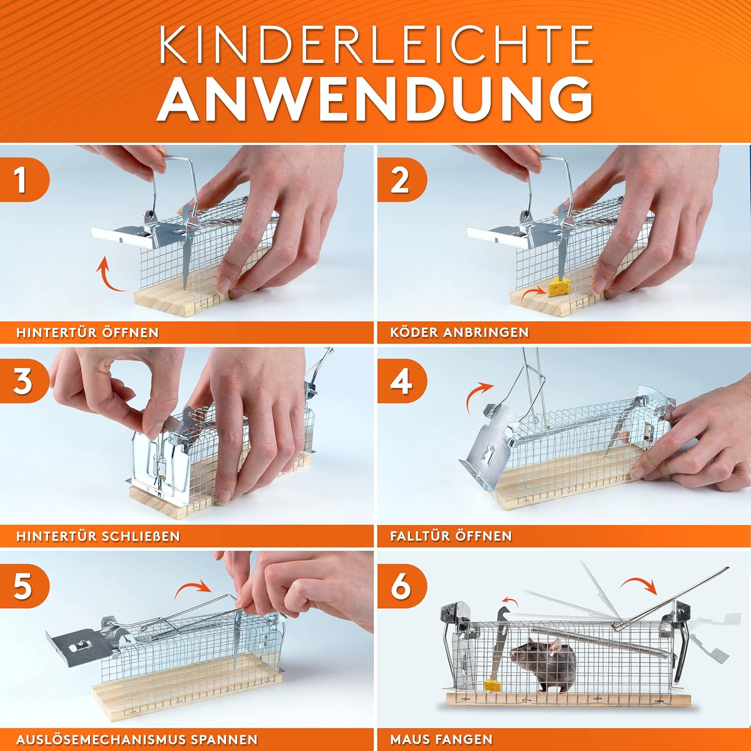 Mausefalle Lebend 4er Set Werktal - Tierfreundliche Lebendfalle mit Doppeltür