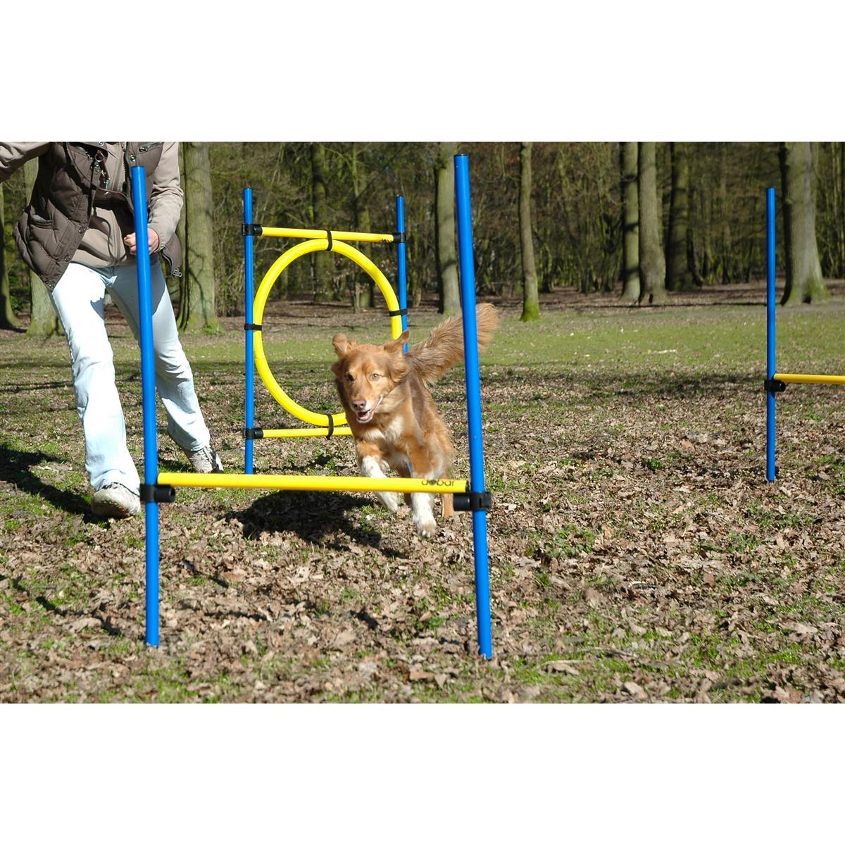 Dobar 3-teiliges Agility Hürden & Sprung-Set Hundesport