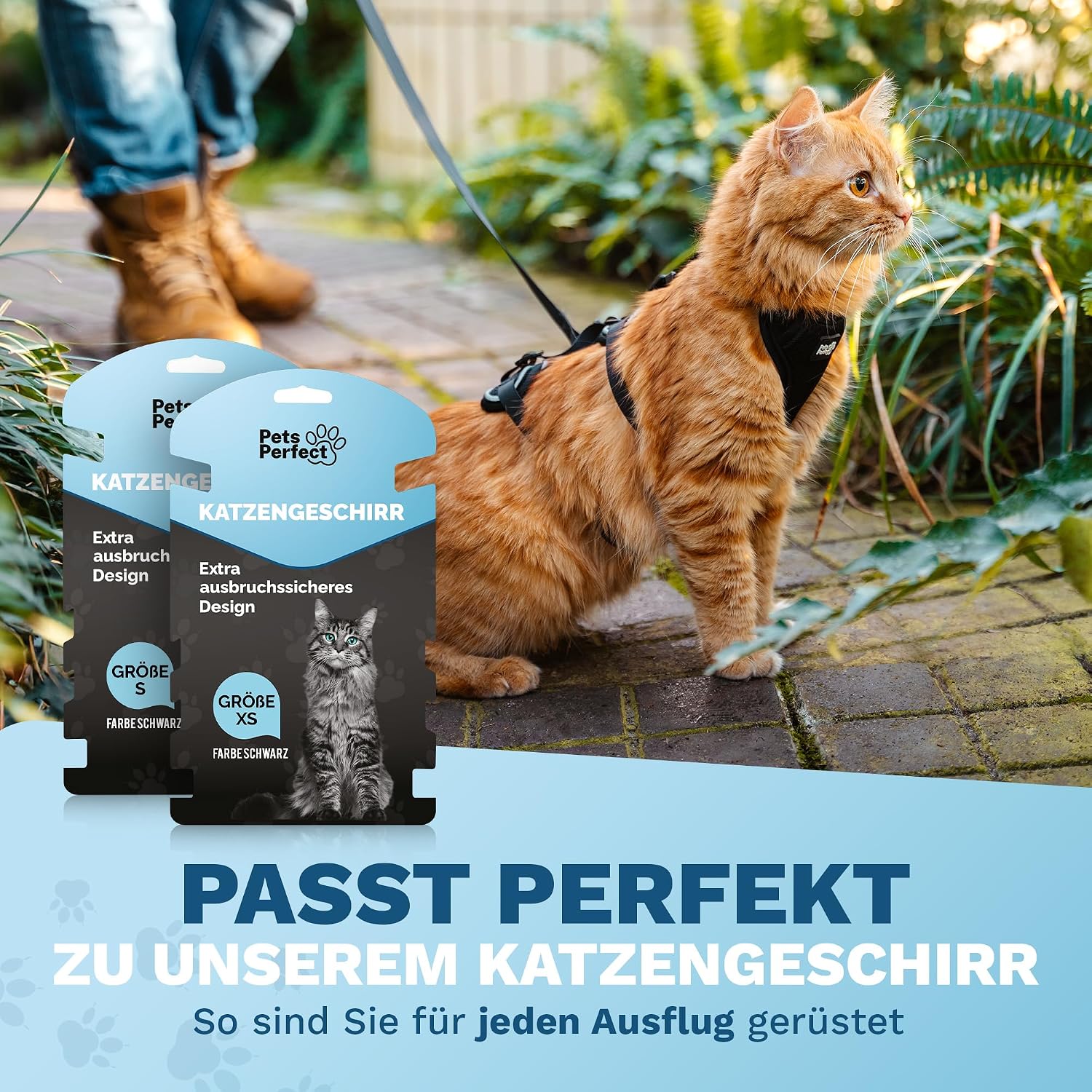 Katzengeschirr,  Katzenhalsband?, Haustier ,N/A, Gurtband, Katzengeschenk