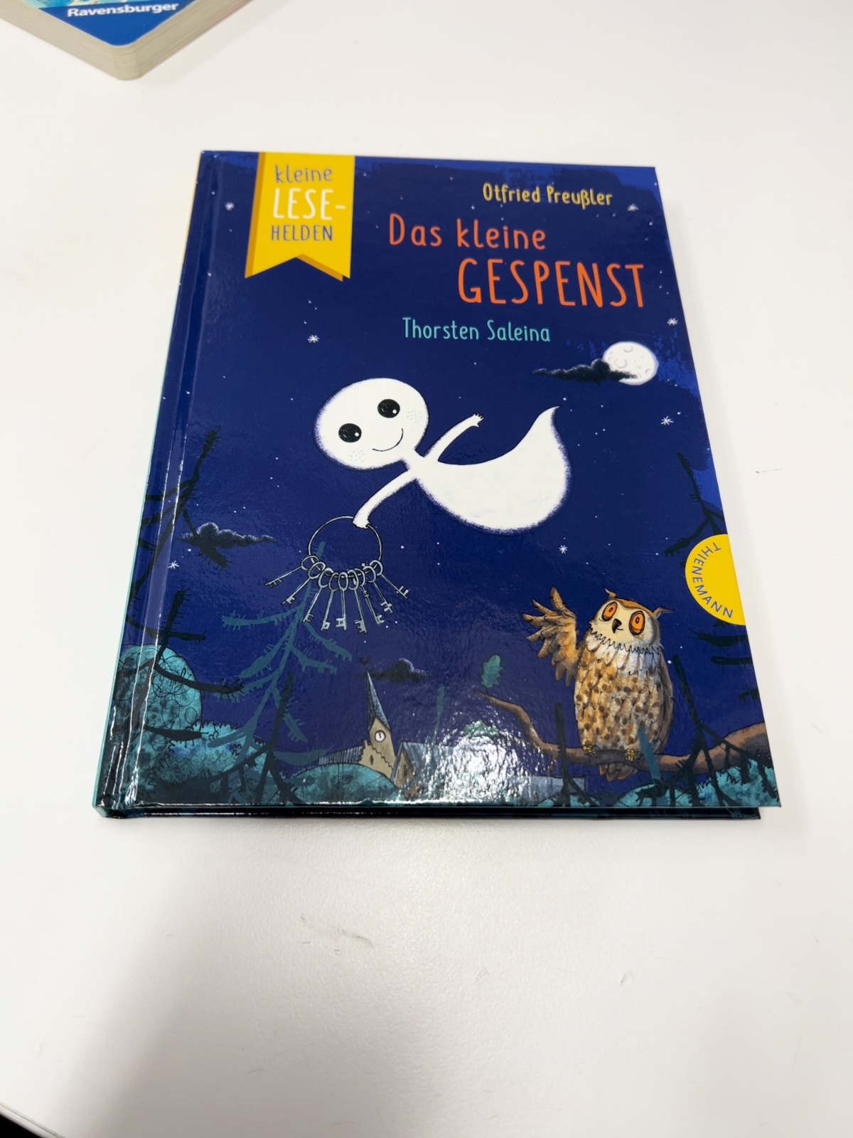 Kinderbuch, Gespenst, Nacht, Eule, Mondstaub