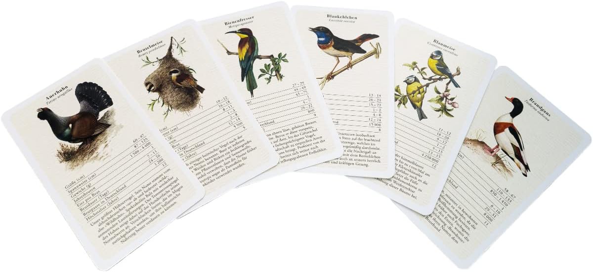 QianShouYan Eulberg Flying Gemstones - A Bird Quartet by Dominik
