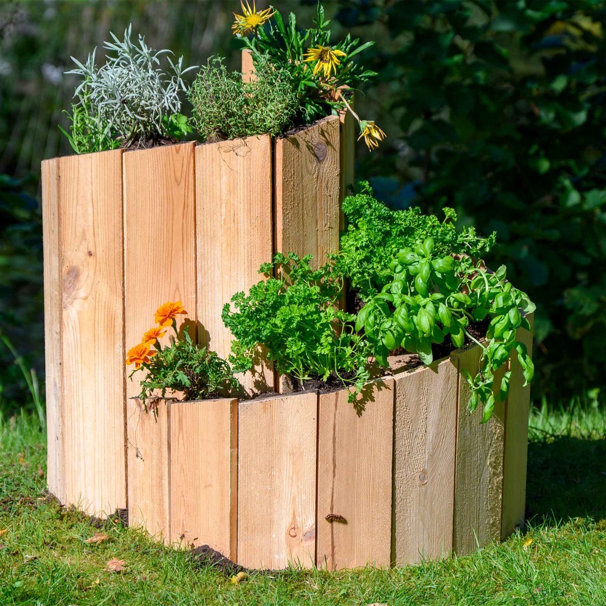 Holzblöcke, Gartenbeet, Pflanzgefäß, Kübelpflanze, Küchengarten