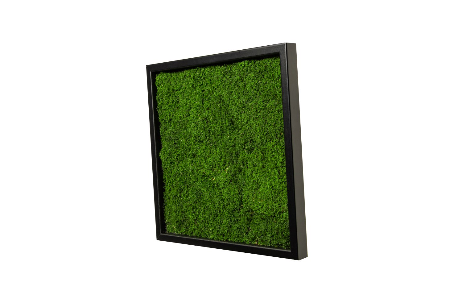 Moosbild Quadrat 100% Flachmoos 35x35cm schwarz