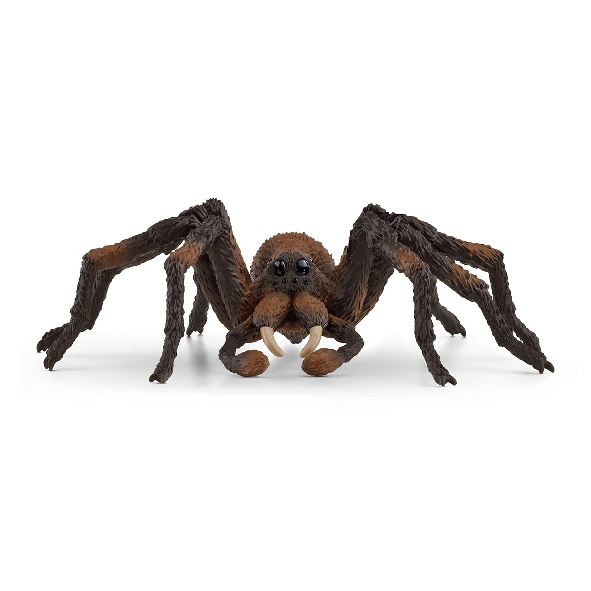 spinne, plüsch, spielzeug, modell, arachnid