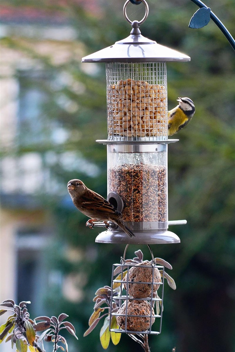 Vogelfutter, Vogelfutterspender, Haustierfutter, Vogelfutter-Aufsatz, Vogelschutz