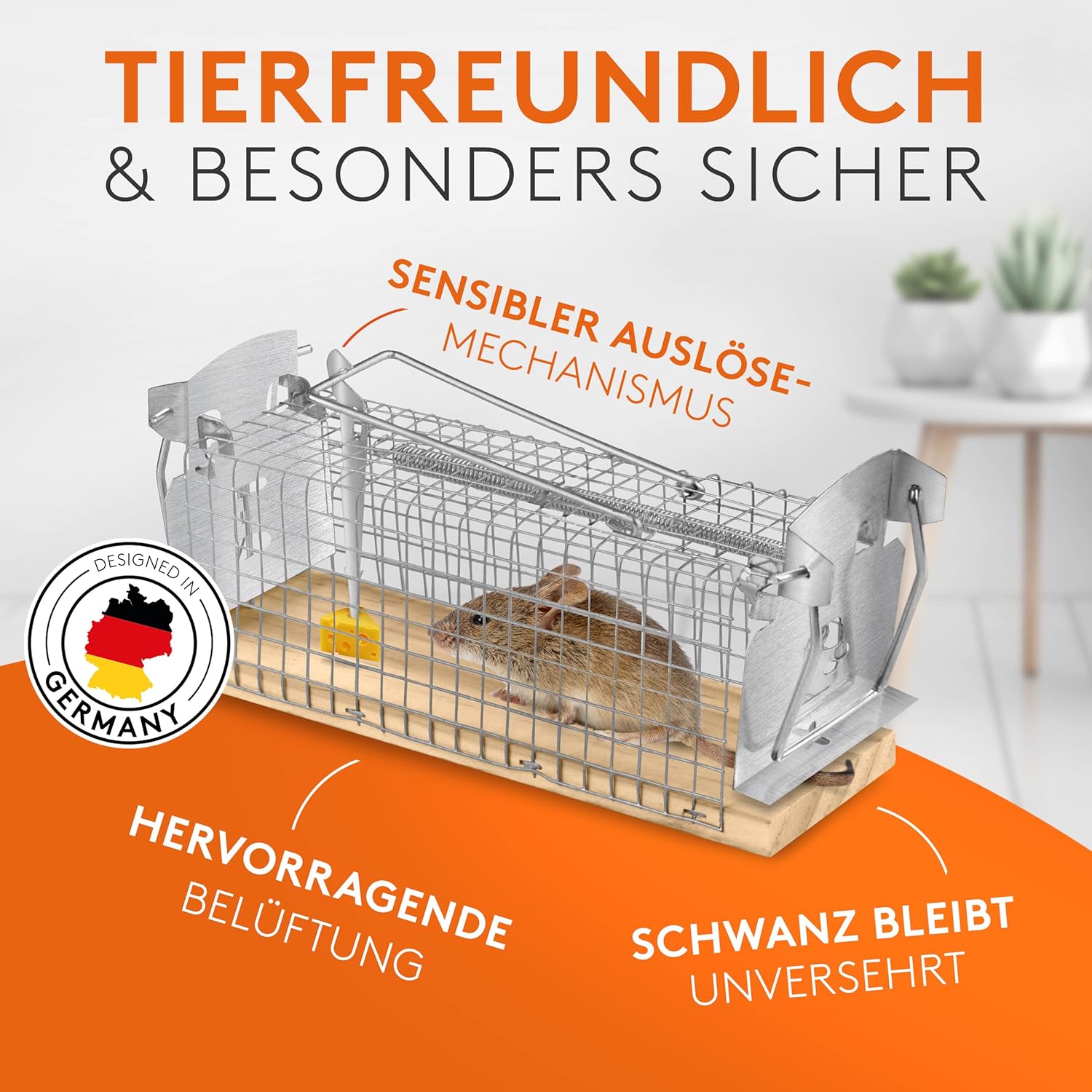 Mausefalle Lebend 4er Set Werktal - Tierfreundliche Lebendfalle mit Doppeltür