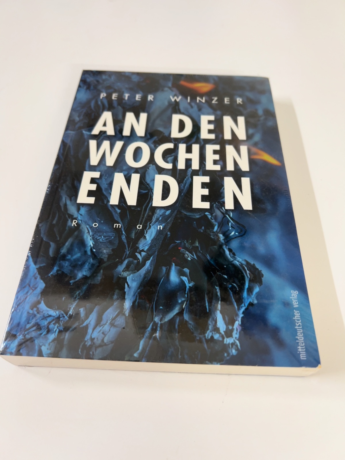 Buch, Roman, Hardcover, Blaues Cover, An den Wochenenden