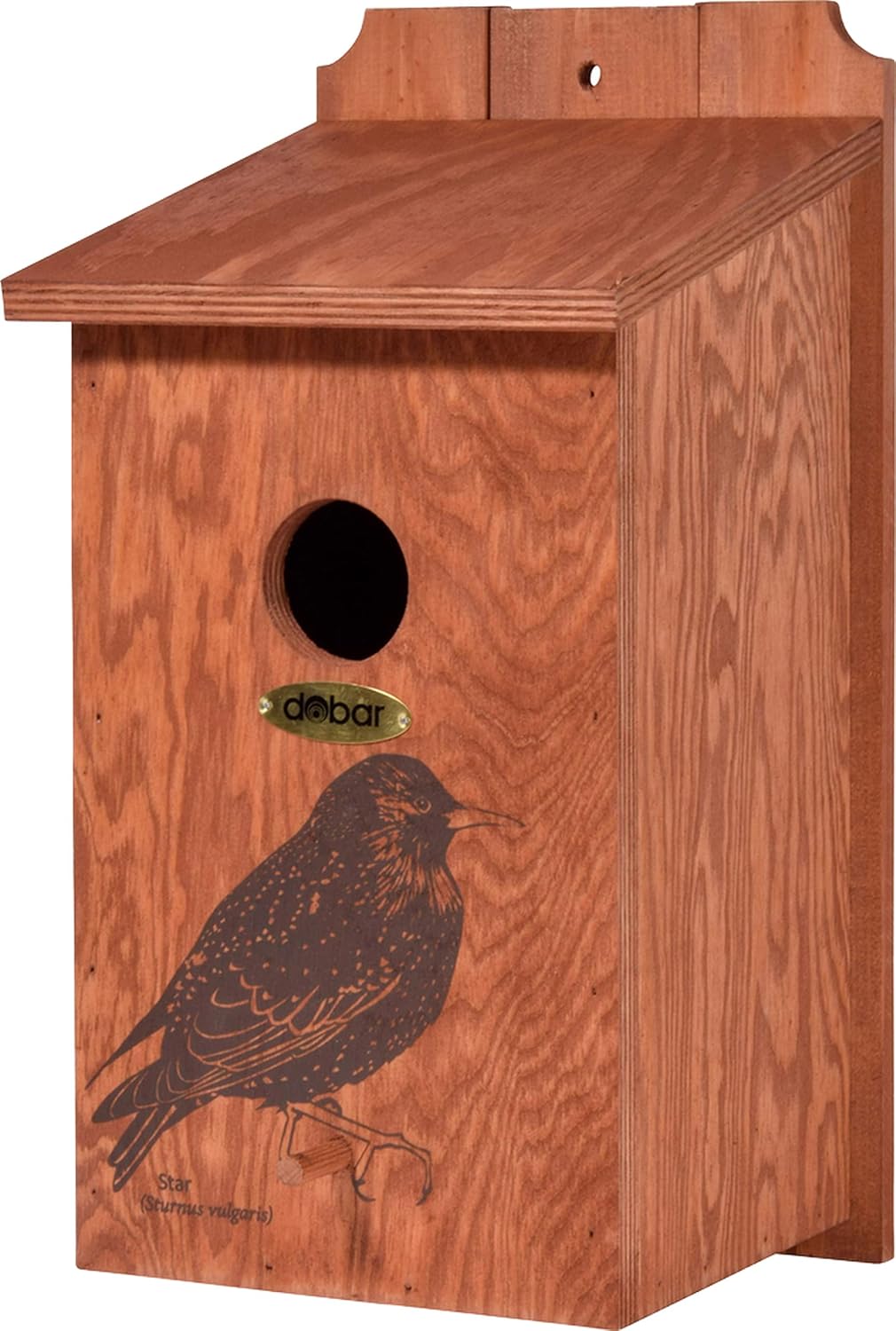 dobar green label Nistkasten "Star" - Starenkasten aus Holz - Nisthilfe für Wildvögel - Wetterbeständig - Nistplatz mit Siebdruckmotiv "Star" - Ø 45 mm - 19 x 20 x 38 cm - Braun
