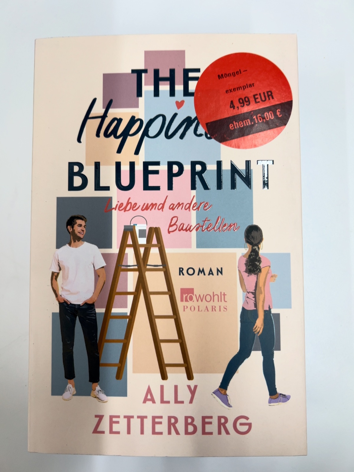 Roman, Buchcover, Häppchen Blueprint, Liebe und andere Bauarten, AllY Zetterberg