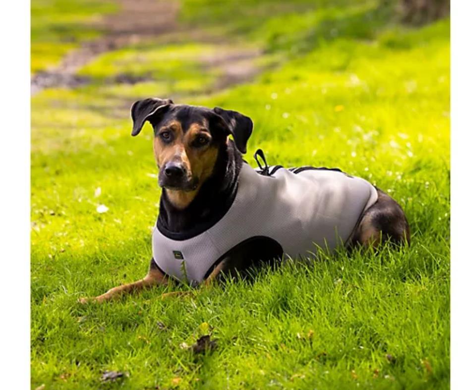Hunter Hunde-Kühlweste 2in1 mit Geschirr Mesh-Design Gr. M atmungsaktiv
