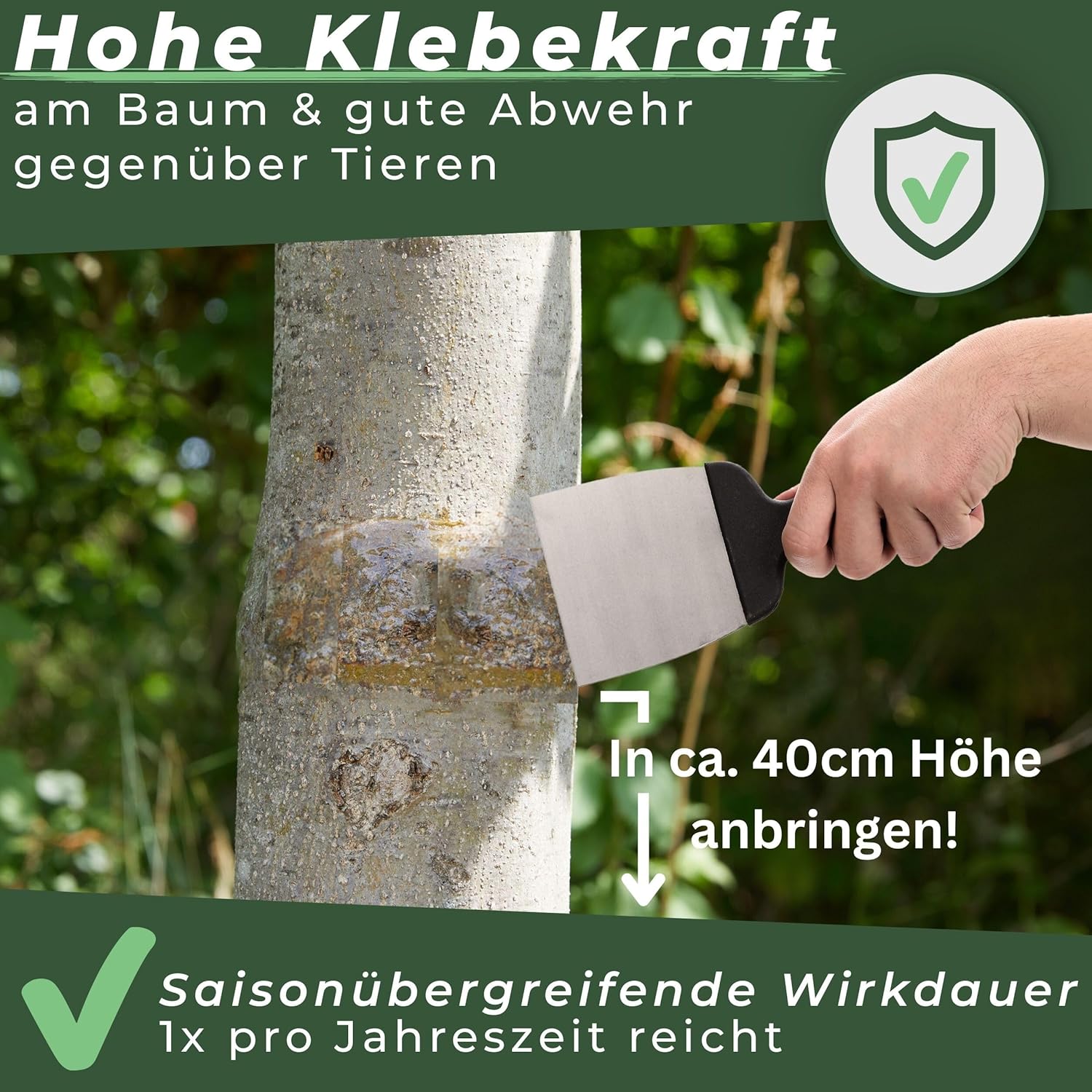 Briliantwerk Raupenleim für Obstbäume 0,9L I Der Leimring für Obstbäume schützt vor Frostspannern, Ameisen, Läusen UVM. - Baumleim auch für Zimmerpflanzen geeignet