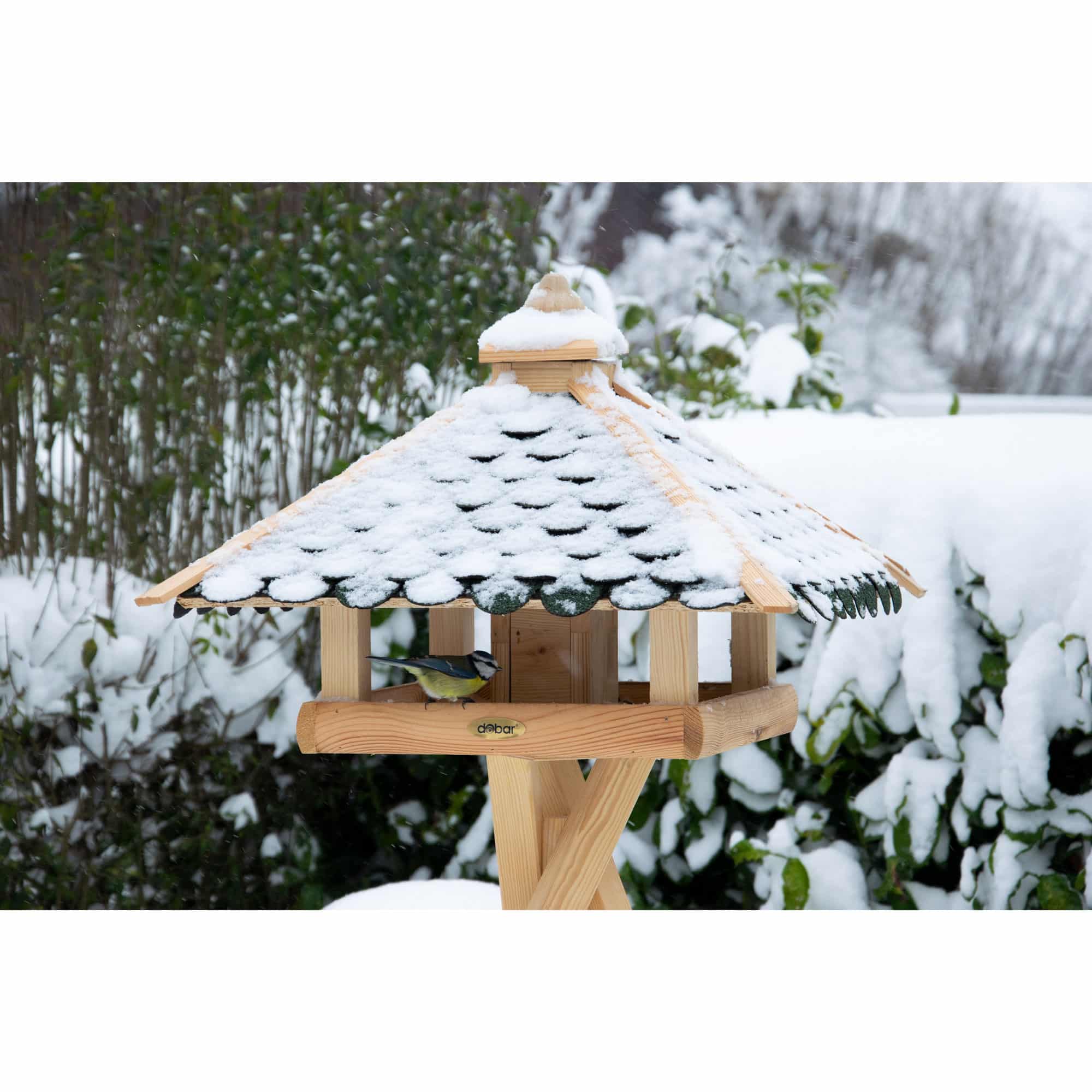 Vogelhaus, Vogelbad, Holz, Schnee, Wintergarten