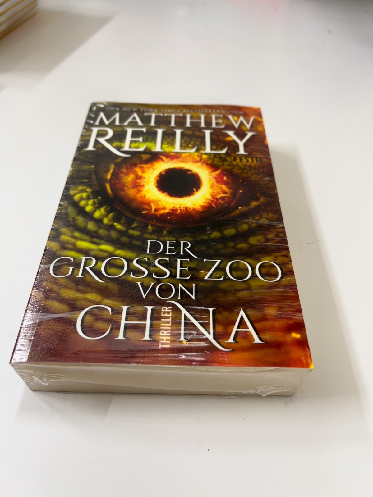 Buch, Roman, Der Grosse Zoo Von China, Thriller, Matthew Reilly