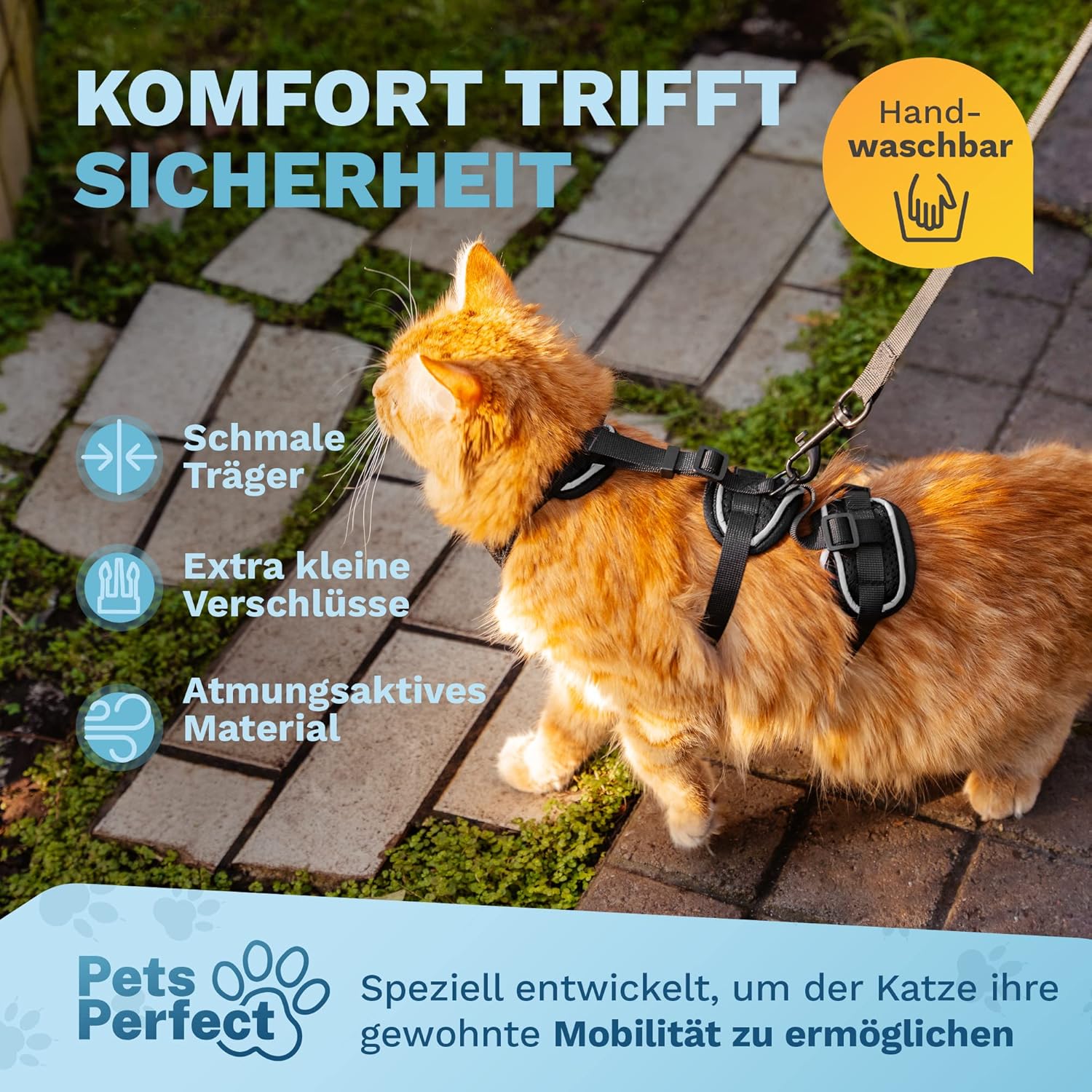 Katzengeschirr, schwarz, atmungsaktives Material, verstellbare Gurte, Handwäsche
