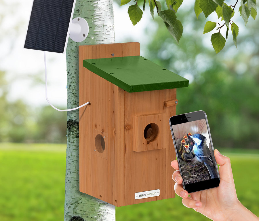 Holz-Nistkasten, Vogelhaus, Nistkasten, Solarpanel, Telefonstecker