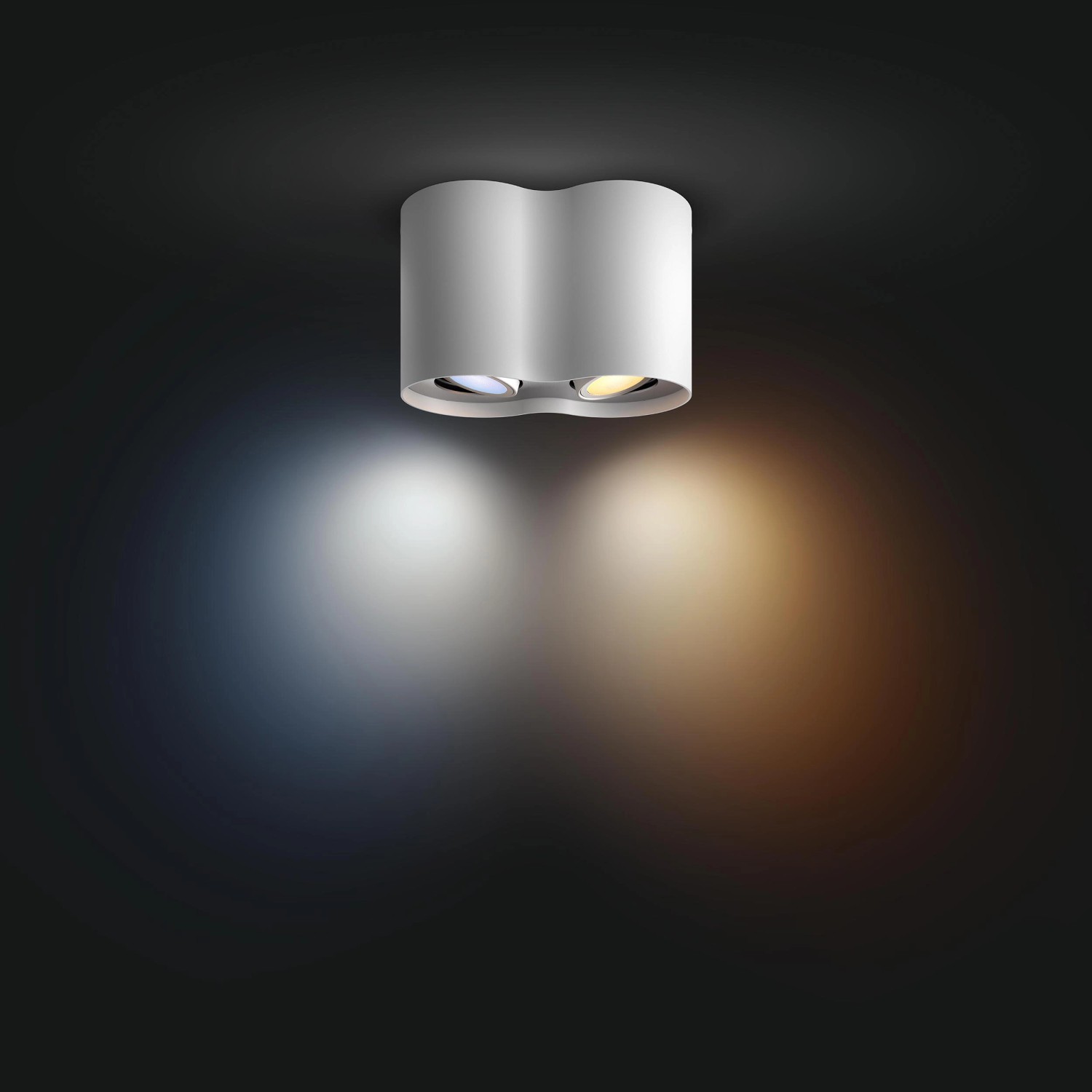 Philips Hue LED Spot Pillar 2 flammig White Ambiance Weiß