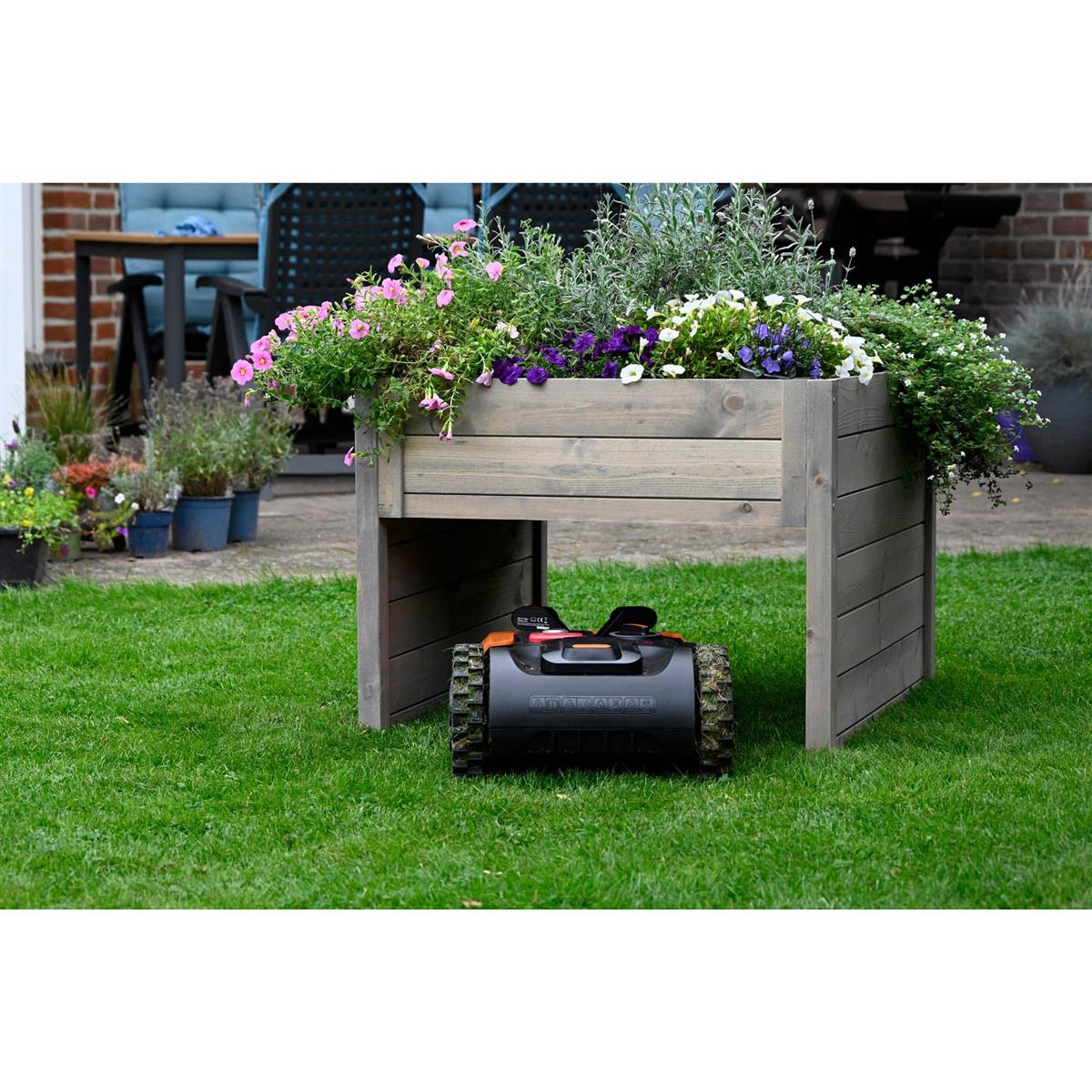 Rasen, Hochbeet, Rasenroboter, Garten, Pflanzenkäfig