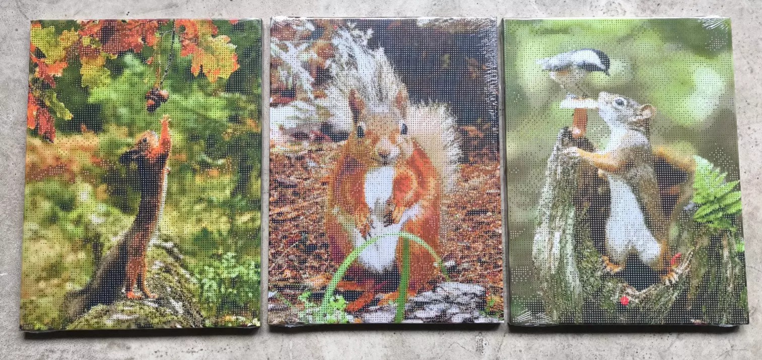 Weltbild Diamond Painting Eichhörnchen Trio auf Leinwand 30 cm - 3er Set