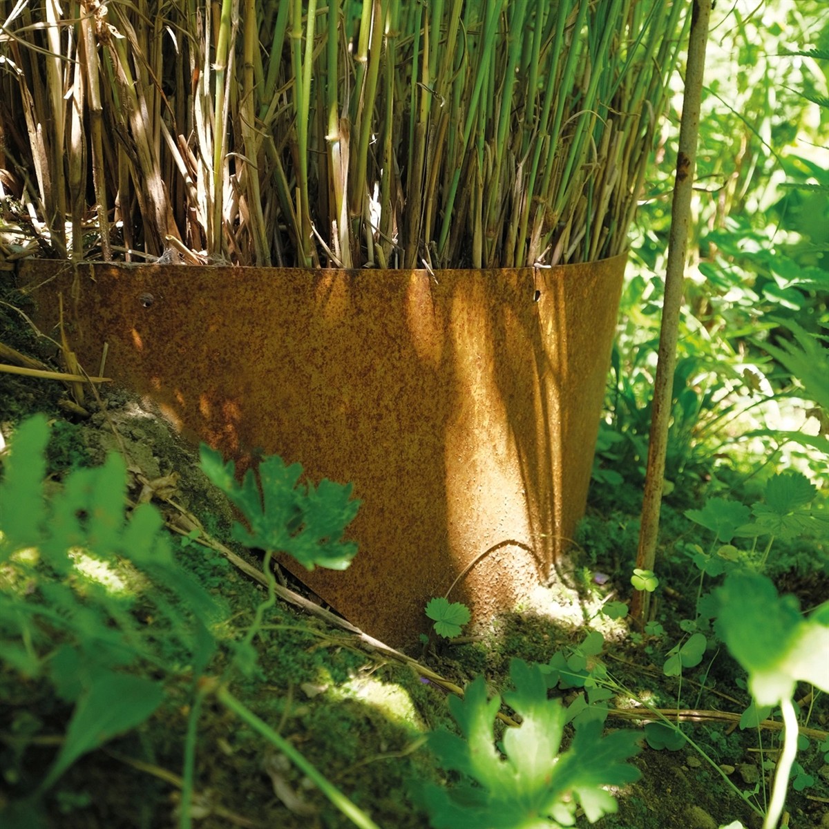 Bellissa Hangpflanzschale Collina Corten