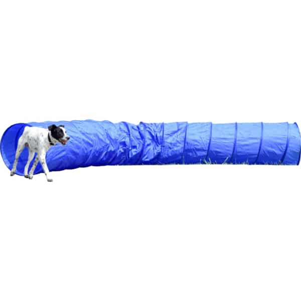 Hundespielzeug, Tunnel, Wettbewerbsspiel, Indoor-Spieltunnel, Blau