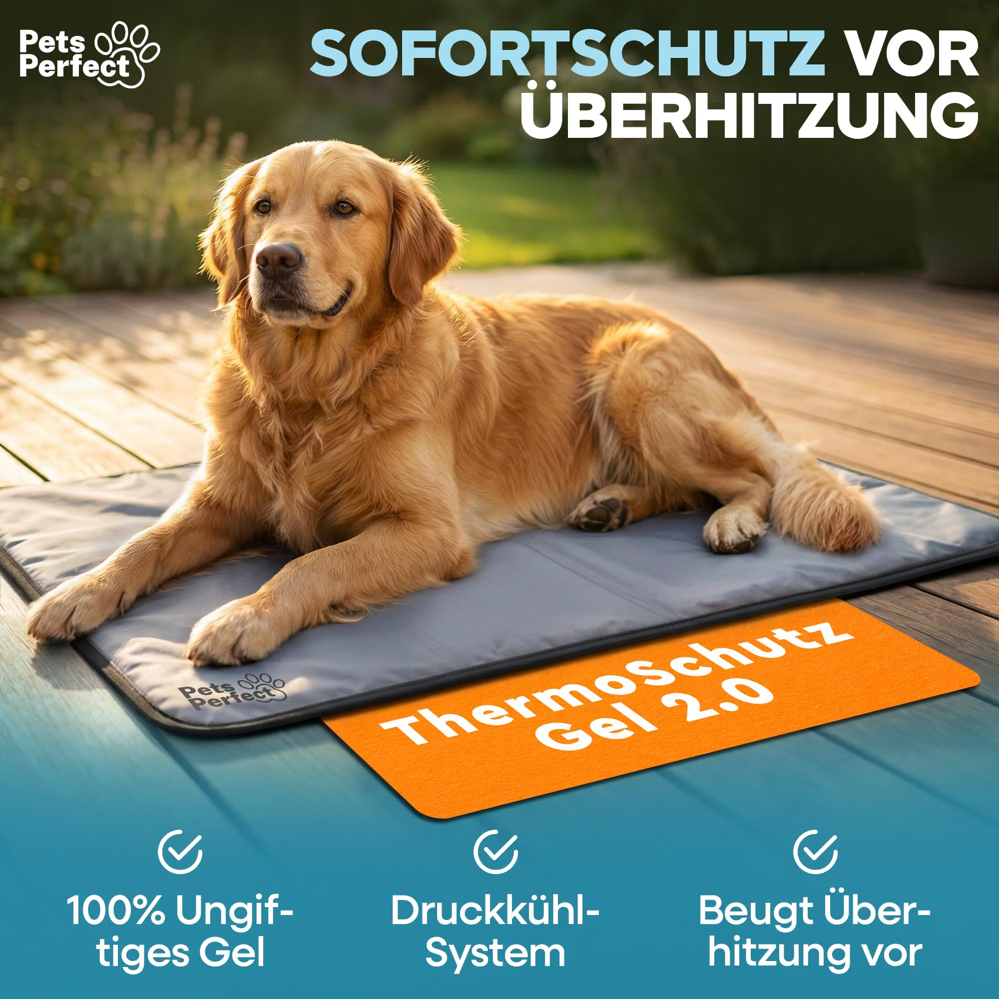 Hund, Magnetmatte, Thermo Gel, orange Gel, Pfotenschutz