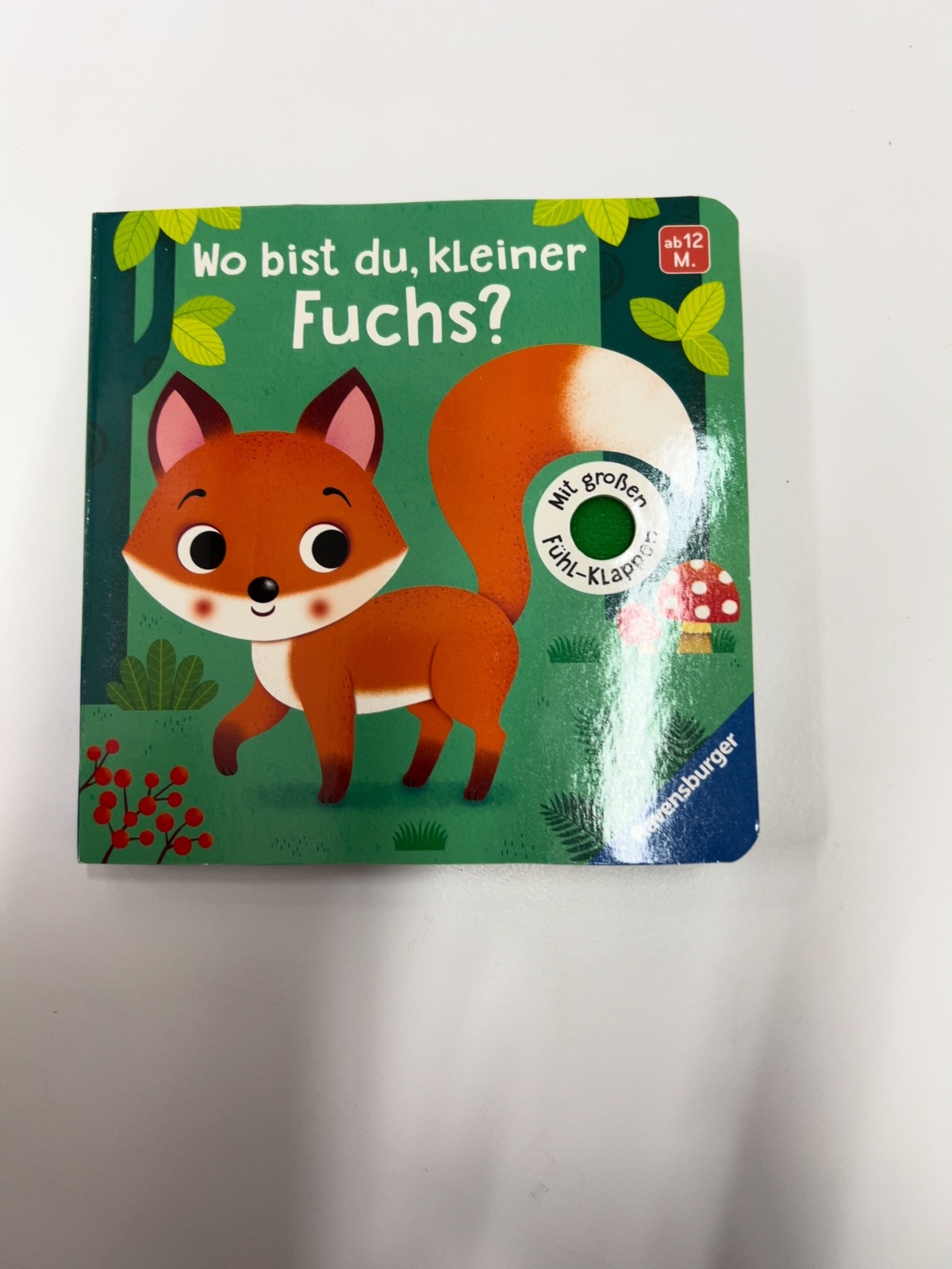 Kinderbuch, Fuchs, Tierfigur, Grünes Cover, Mushroom Illustration