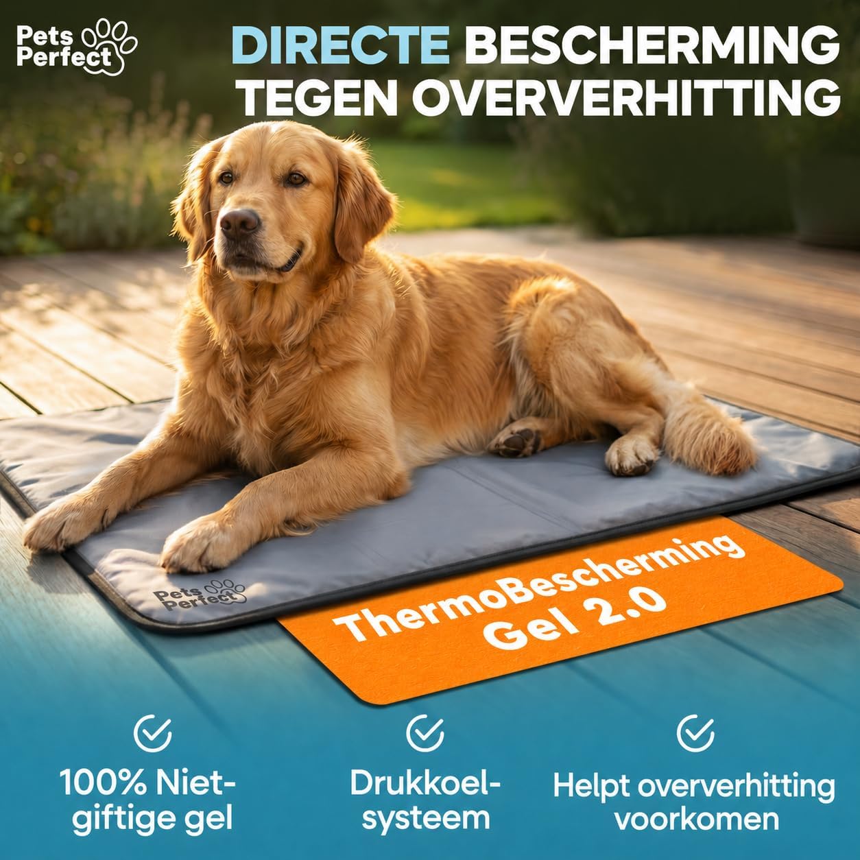 golden retriever, Hundebett, Gel-Matte, Thermo-Schutz, Nicht giftiges Gel
