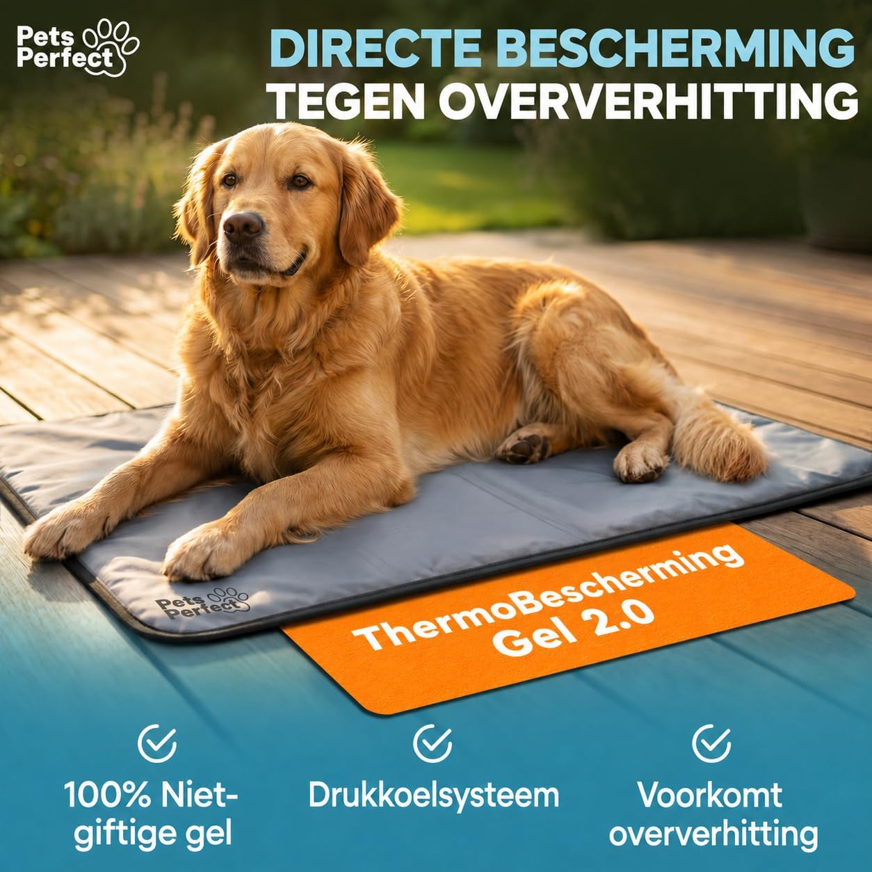 Hund, Tiermat, Thermo-Schutz, Gel 2.0, nicht toxisch