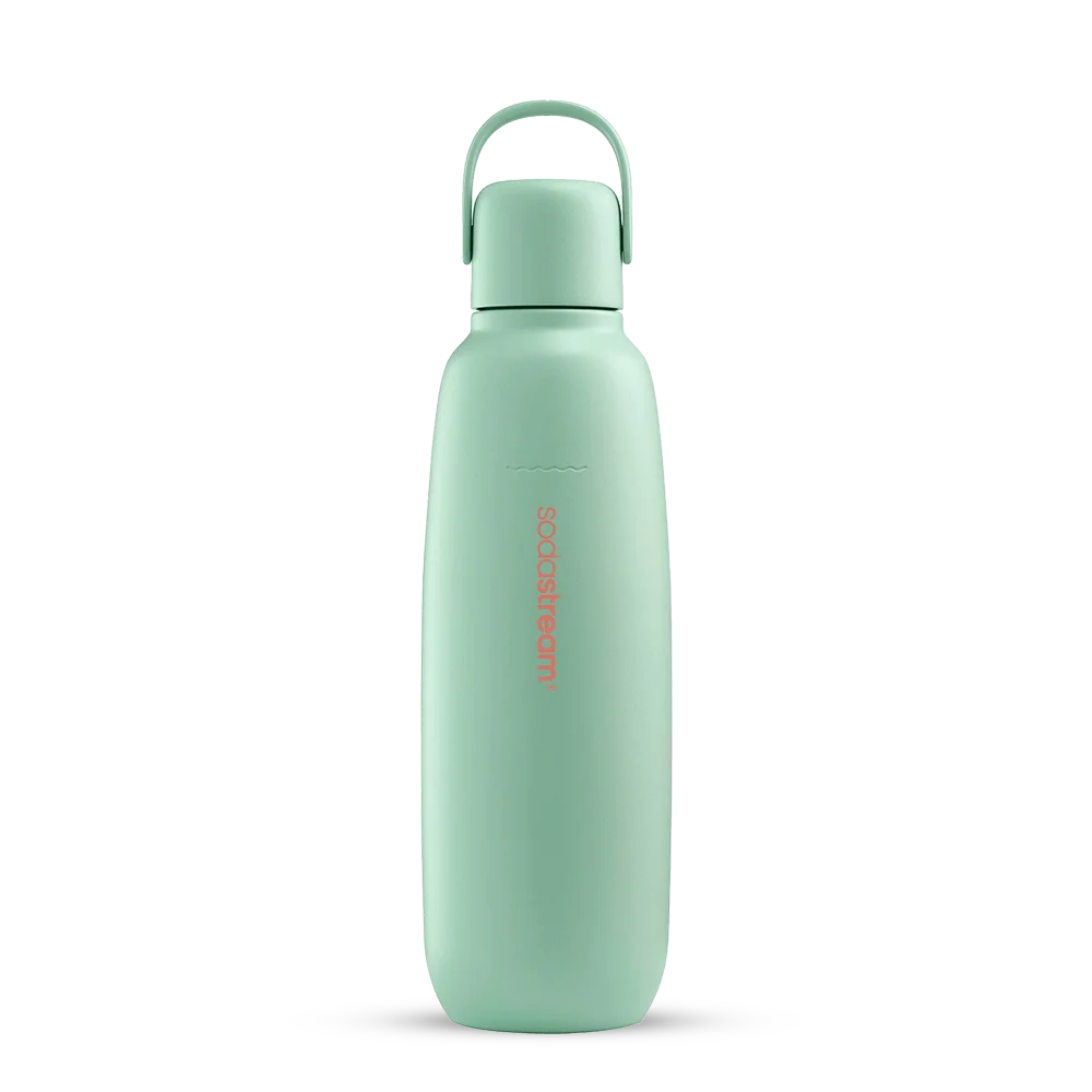 fizz & go Edelstahl Sprudlerflasche (Mint) 0,9 L, 1er-Pack