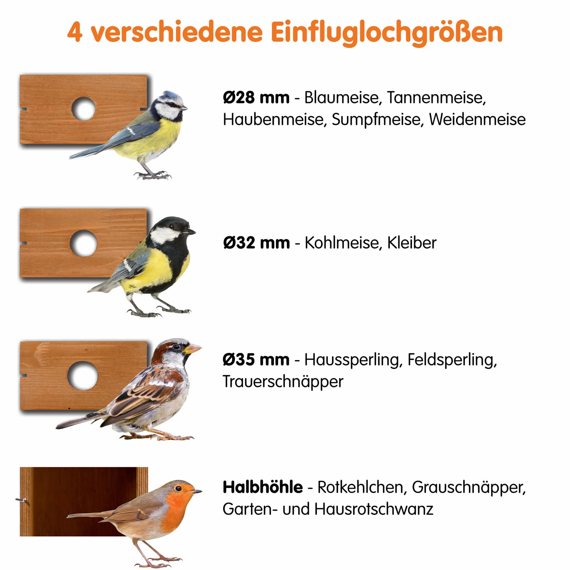 Dobar Nistkasten Spitzdach „Karsten" WiFi-Kamera und App #D357