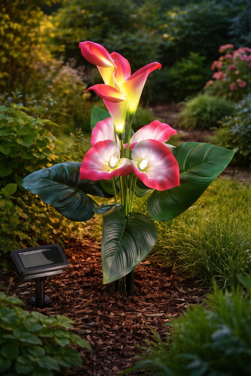 blume, calla, kala, k coastal