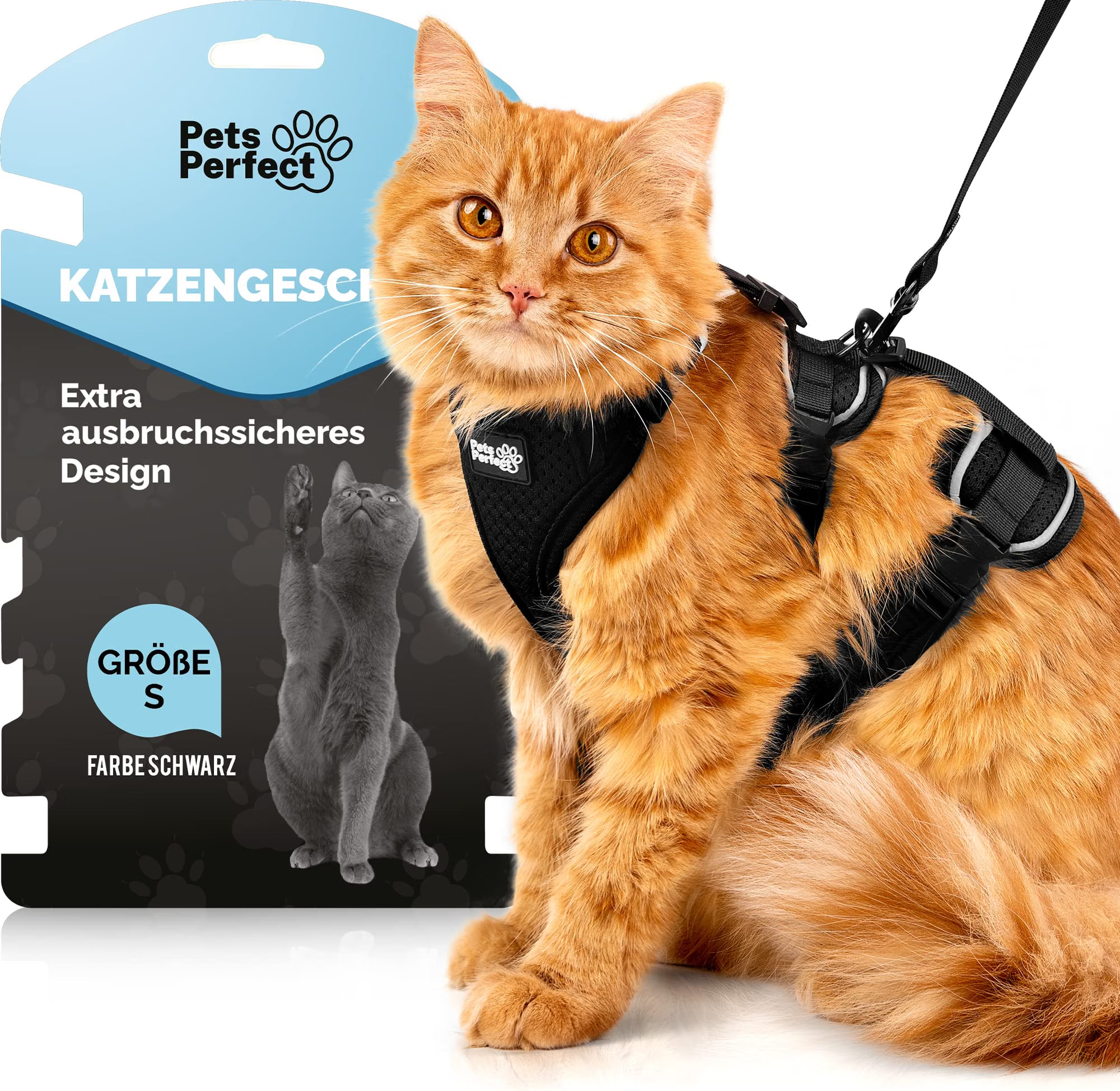 Katzenhalsband, Katzengeschirr, Schwarz, Verstellbares Geschirr, Haustiergeschirr