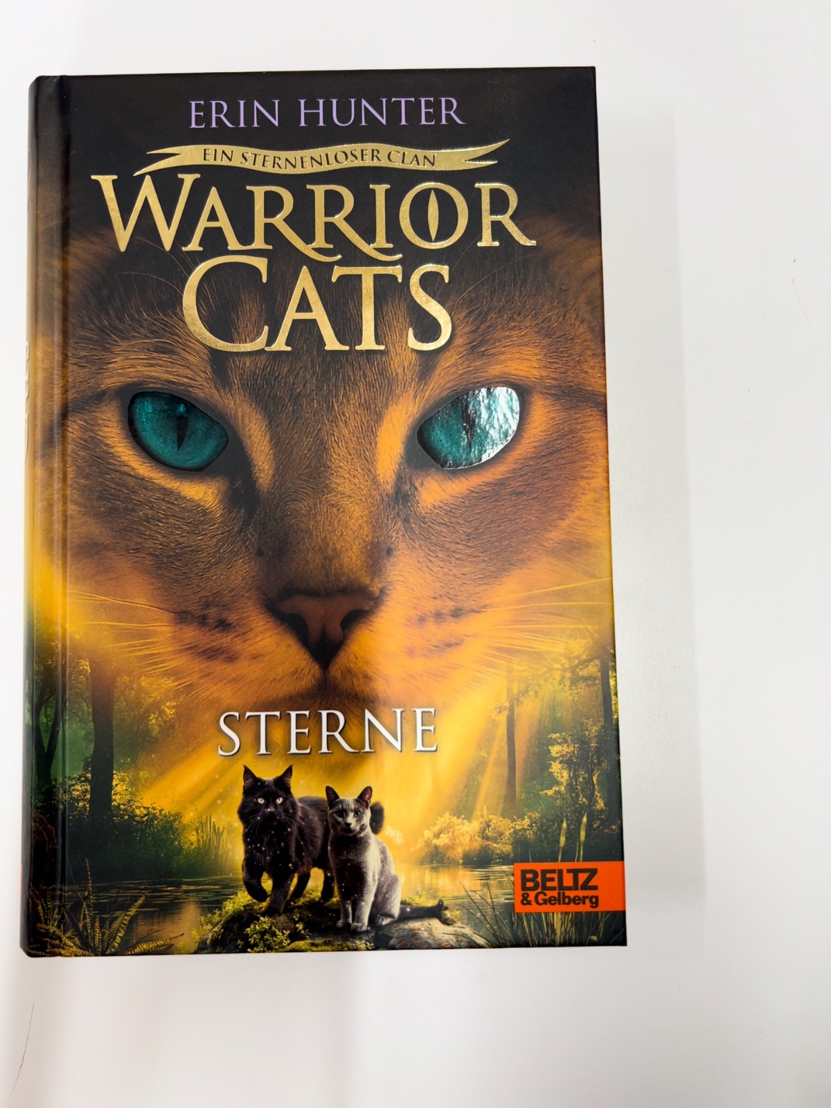 buch, katze, thriller, sternentitel, wildkatze