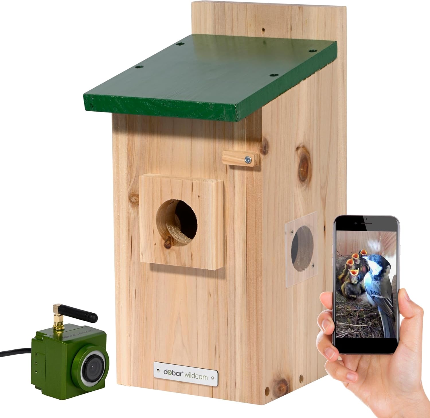 Dobar Luxus-VOGELHAUS Nistkasten Eazy mit WiFi Kamera und Netzteil - Vogelbeobachtung mit Nisthilfe aus Holz und App  Ø 40 mm Einflugloch  Grün
