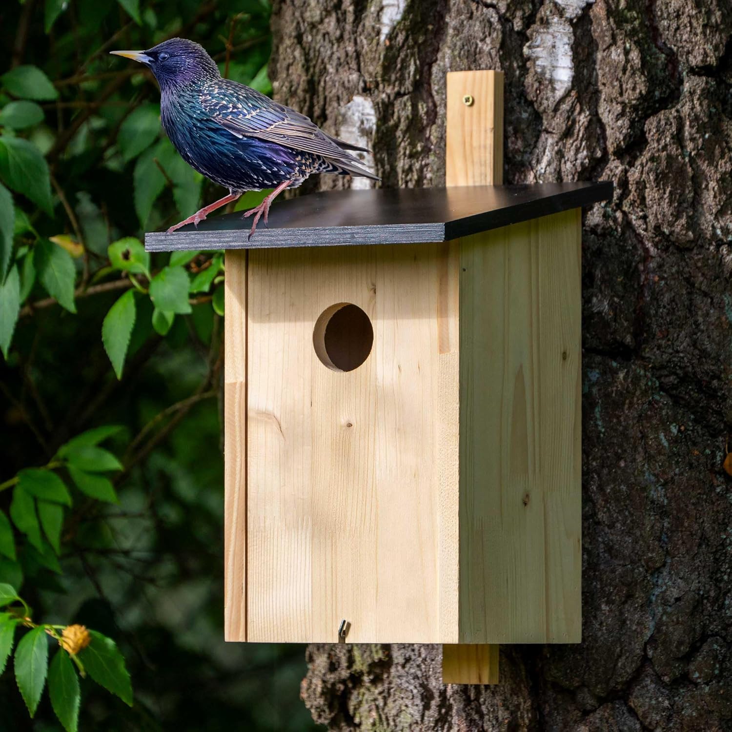 dobar Klassischer Nistkasten für Stare und Spechte - Vogelbrutkasten zum Aufhängen - Natur