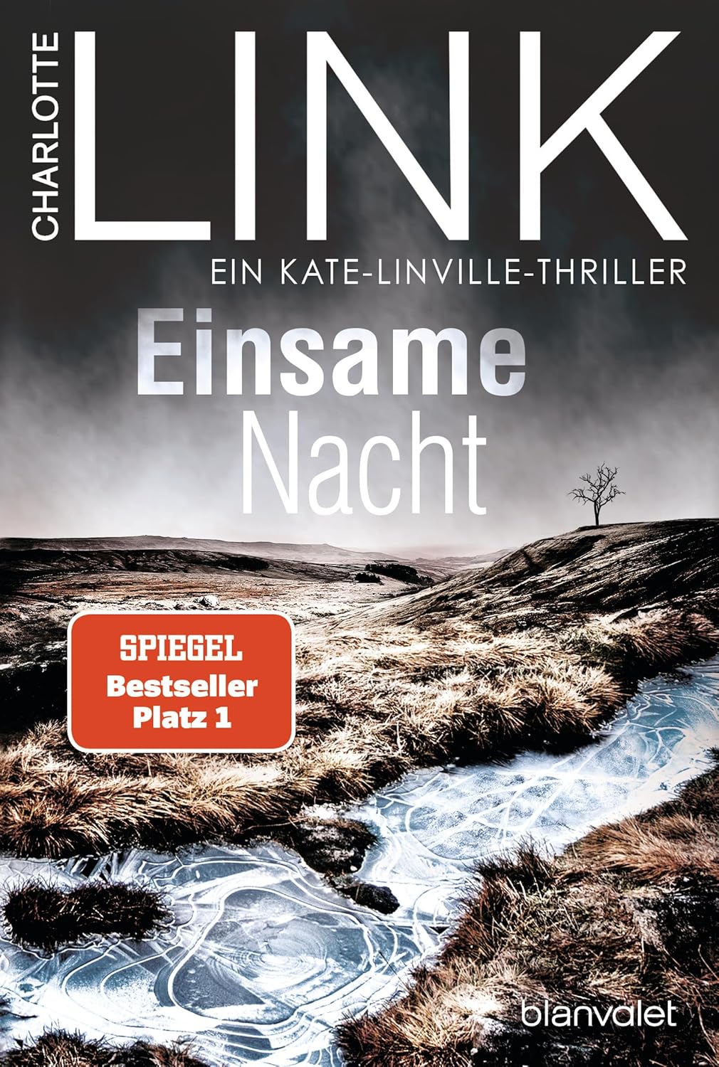 Einsame Nacht: Ein Kate-Linville-Thriller Taschenbuch