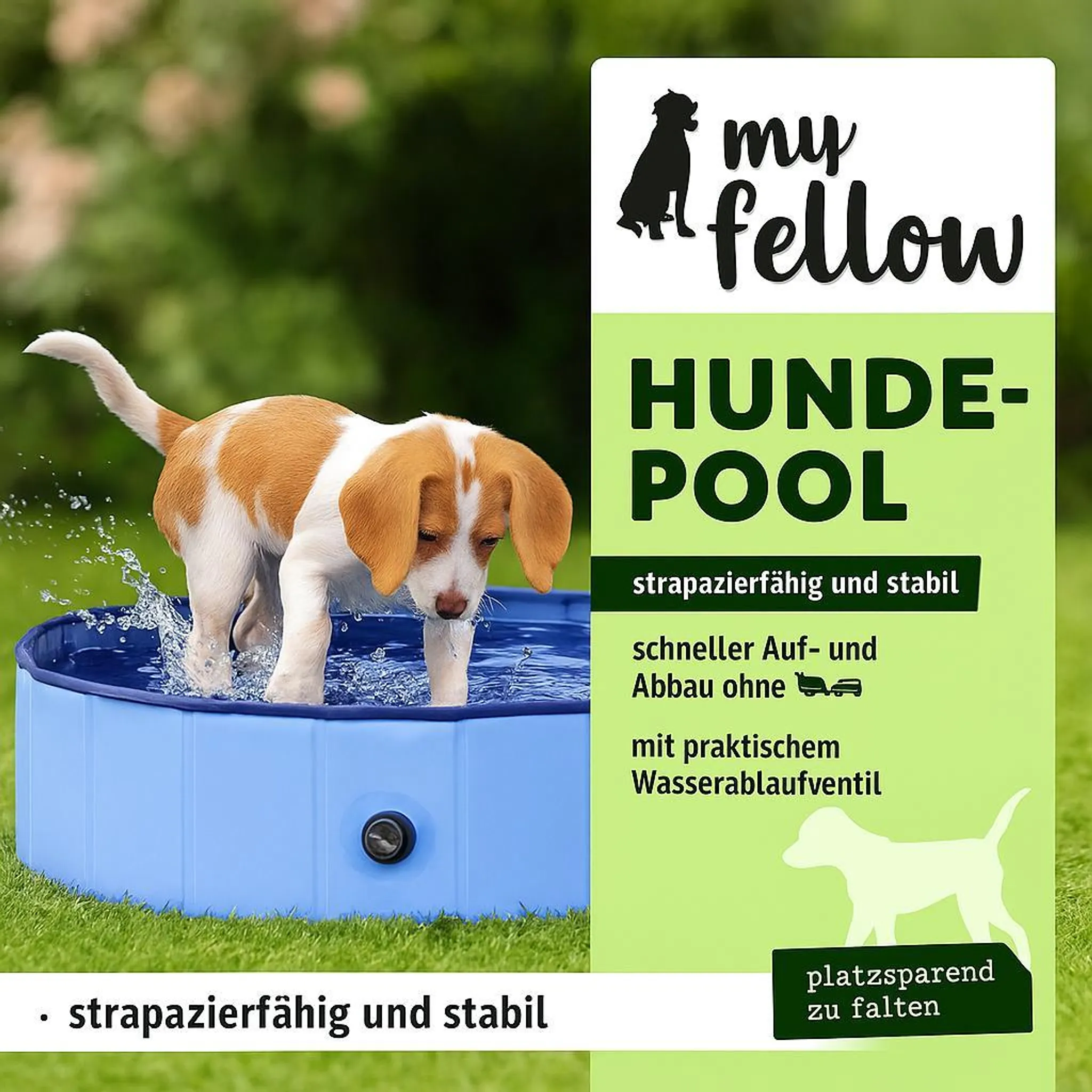 Hund, Welpe, Hundepool, Tierpflege, Outdoor