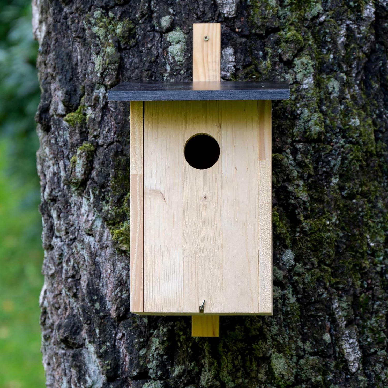 dobar Klassischer Nistkasten für Stare und Spechte - Vogelbrutkasten zum Aufhängen - Natur