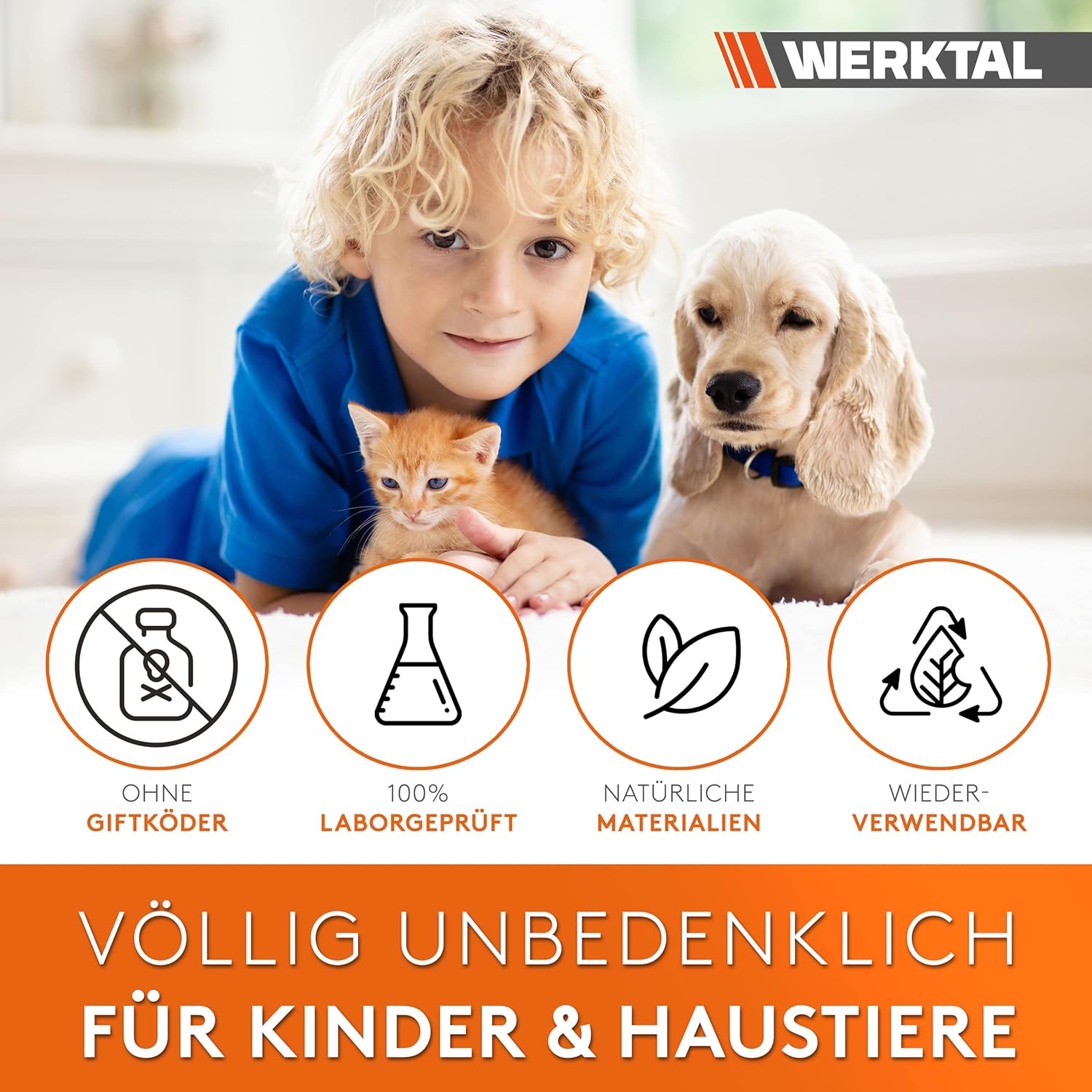 Mausefalle Lebend 4er Set Werktal - Tierfreundliche Lebendfalle mit Doppeltür