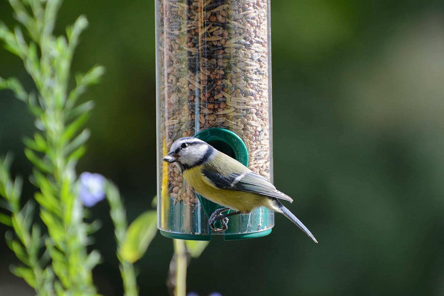 Dobar Vogel Futtersäule mit Anflugstangen hängend Wildvogelfutterspender