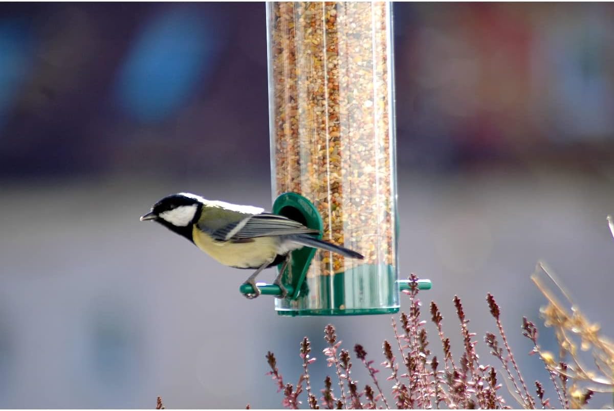 Dobar Vogel Futtersäule mit Anflugstangen hängend Wildvogelfutterspender